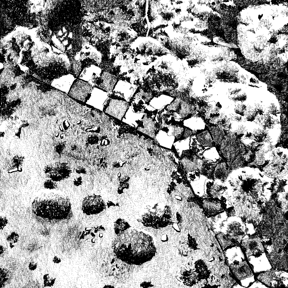 a moss drawing on a beautifully tiled grave